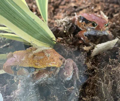 Look at the way she's staring at me. She's knows who's responsible for this.