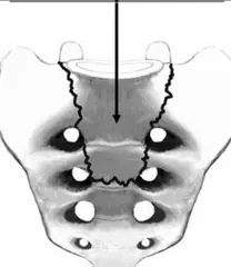 Gathering Moss - July 2025