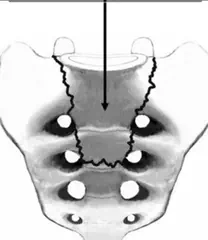 Gathering Moss - July 2025