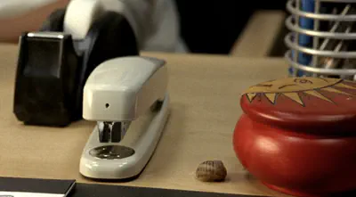 random snail shell next to the bugged stapler