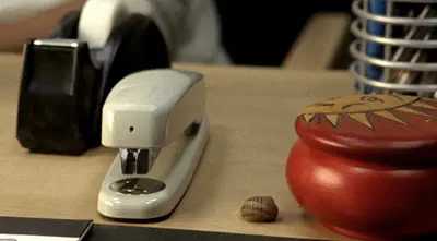 random snail shell next to the bugged stapler